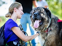 Adoptuj Warszawiaka  Wydarzenie promujące adopcję zwierząt. Organizator: Schronisko dla Bezdomnych Zwierząt "Na Paluchu". 18 sierpnia 2019, Park Raszyński w Raszynie. : park raszyński, adoptuj warszawiaka, na paluchu, schronisko dla zwierząt, centrum warszawy, raszyn